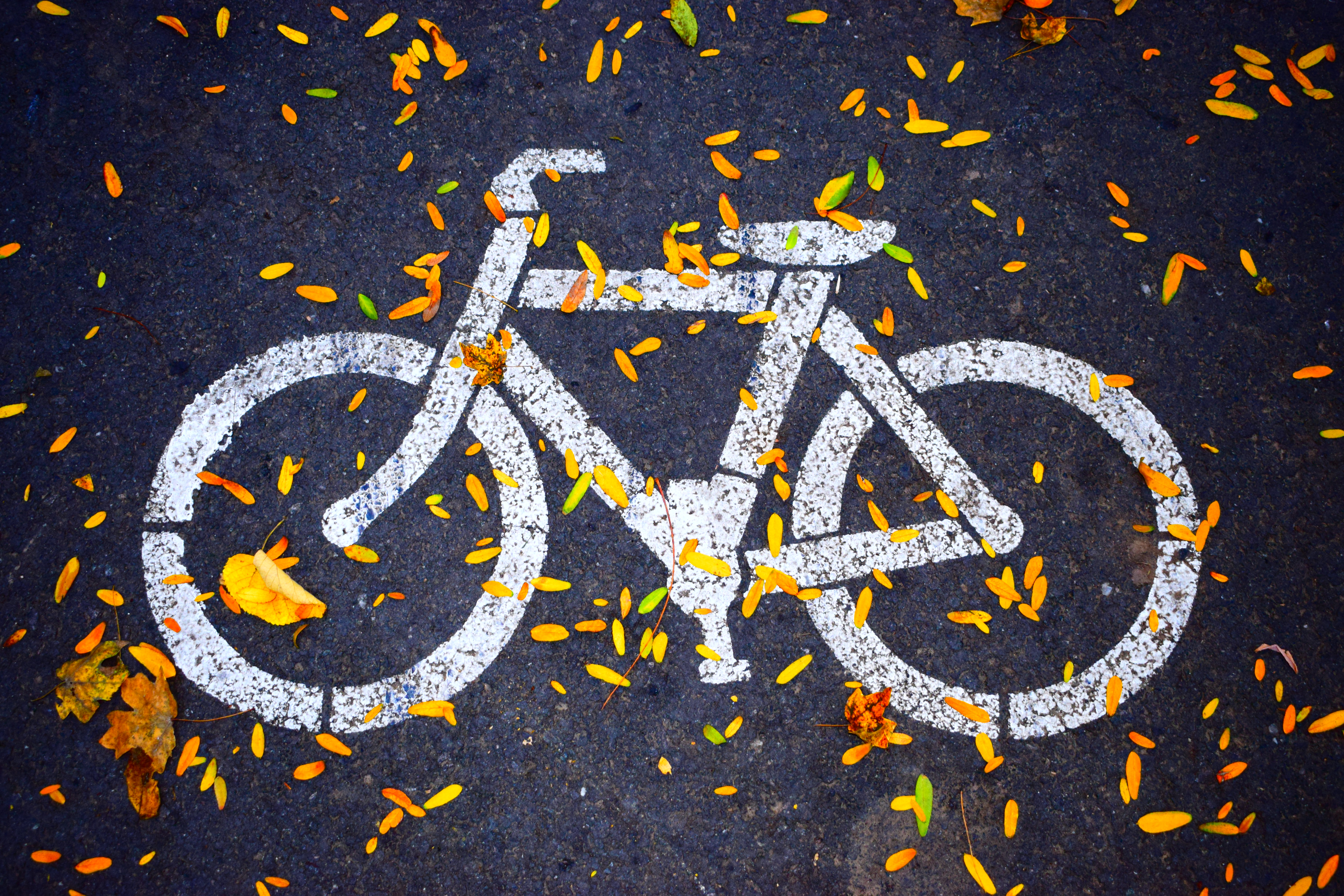 Flower Mound Bicycle Accident Lawyers Texas has very lax laws regarding bike riding.
